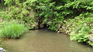 猪苗代湖から延びる用水路の一部