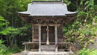 戸ノ口堰洞穴のそば