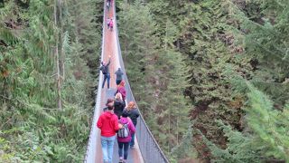 人気の観光地、トータルで３時間あれば市内から行って来れます。