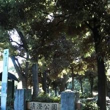 清澄庭園と同じくらい広いです