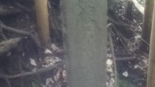 殿塚の近くにある