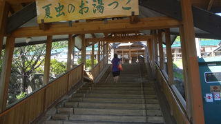 夏虫のお湯っこ