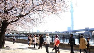 経験的には土日午前中がオススメ