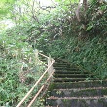 清正公園に至る途中の階段道