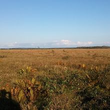 温根内木道からの景色