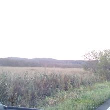 釧路湿原道路からの景色