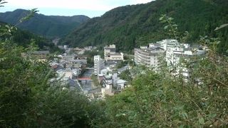 『クマ出没注意』の標識にビビル