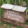 ハワイ プランテーション ビレッジ