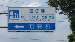 この牧場、結構大きいです