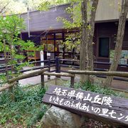 狭山丘陵の自然や生物について学べます