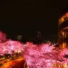 20150403ガーデンテラス横の歩道橋より