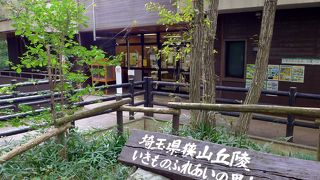 狭山丘陵の自然や生物について学べます