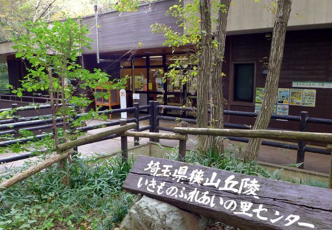 狭山丘陵の自然や生物について学べます