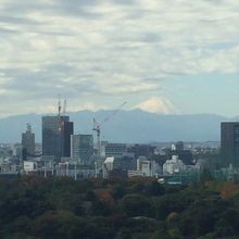 富士山が見える。