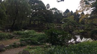 見どころが多い広い公園