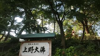 薬師如来のご真言を７回唱えながら周りますよん