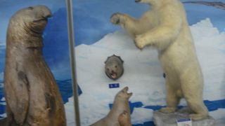 個人として驚くべき収蔵品