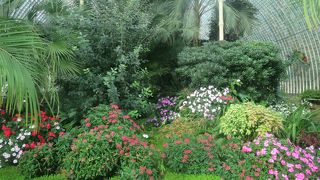 レドニツェ城 温室