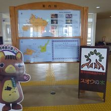 イリオモテヤマネコとサキシマスオウノ木の看板があります