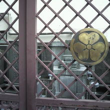 浄林寺の西側には、墓地区画があります。広い墓地区画です。