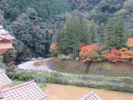 雙津峡 (そうづきょう) 温泉 錦パレス 写真