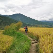 お寺へは畦道を歩きます