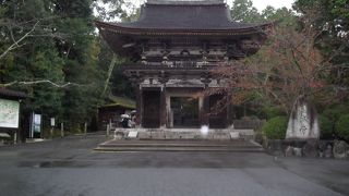 迷っているならお勧めします。