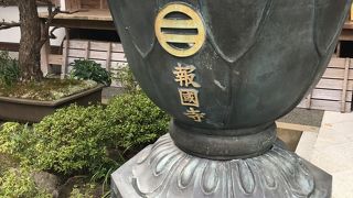 竹林の中で頂くお抹茶は格別