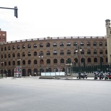 琥珀色１色です