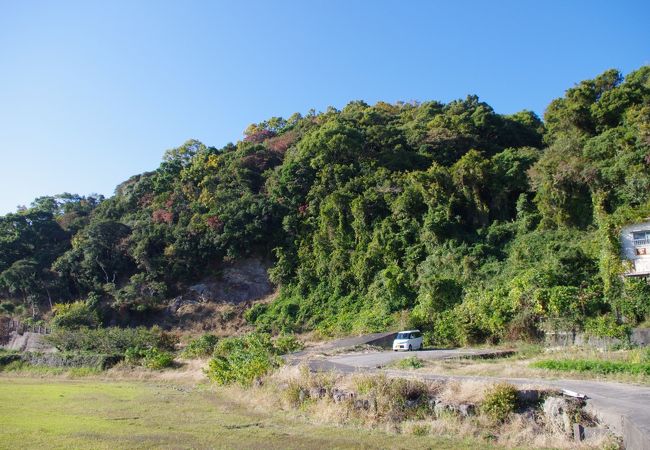 亀山城址