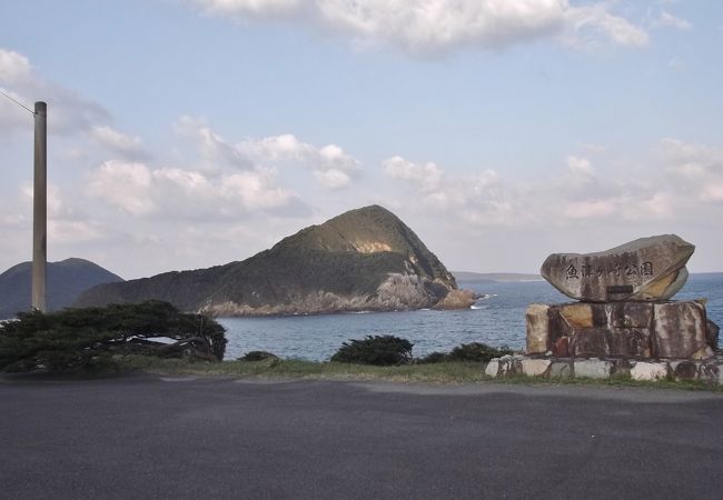 冬は強烈な季節風？　横向きに伸びた木が印象的な臨海公園