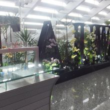 台湾桃園国際空港