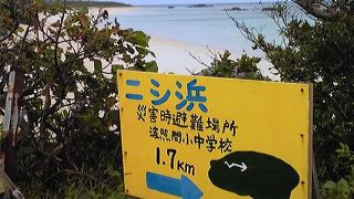 透明度抜群の美しいニシ浜でシュノーケリング