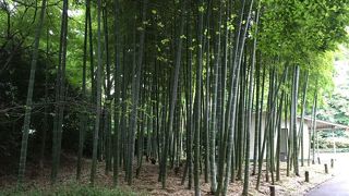 時間に余裕をもって訪問