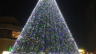 今年も点灯しました！