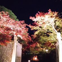 美しい吉兆の入り口