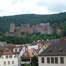 ネッカー川から見上げるハイデルベルク城