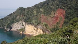 赤い断面が印象的