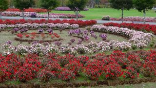 無料ゾーンでも楽しめる季節ワープの花園