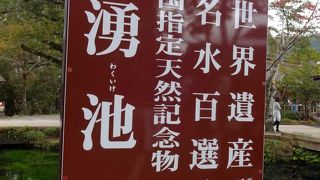 今やガイジンで一杯！