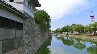 丸亀城を中心とした所が亀山公園