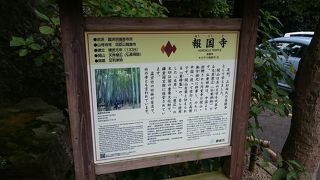 竹林の中でお抹茶！竹林に癒されました！