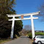 七五三と菊祭りで大賑わいでした。