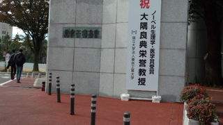 野球のＯＢ戦で来ました