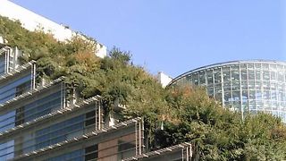 アクロスランチ