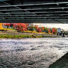 御池大橋遊歩道から望む紅葉