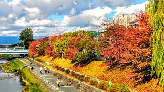 ～★☆鴨川の紅葉☆★～