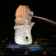 予想以上の大きさ！