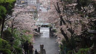 雨だとやっぱりテンションは上がらない