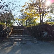 この程度の高さです。